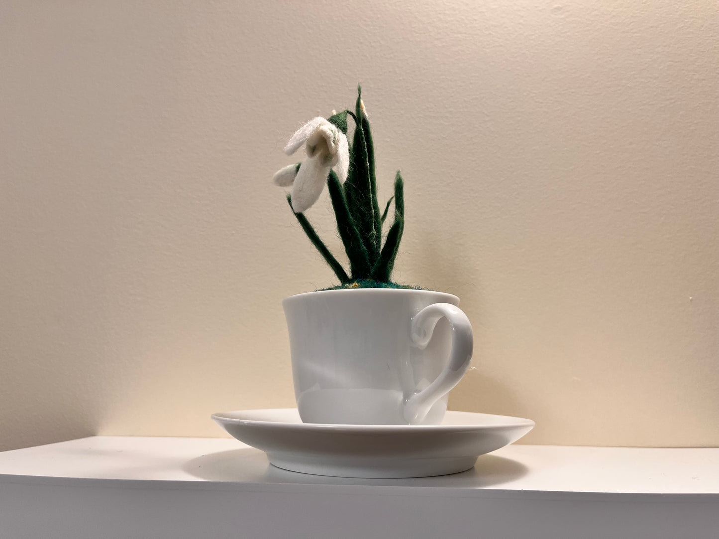 Snowdrops in a teacup