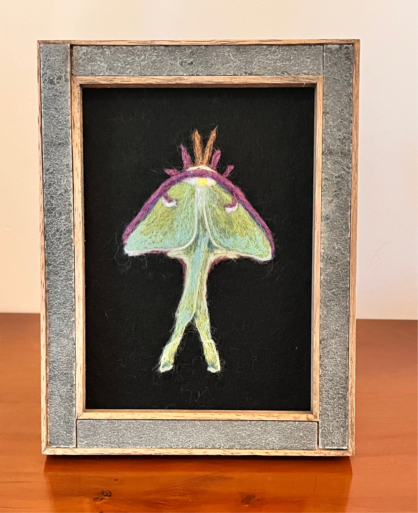 Felted Luna Moth Picture