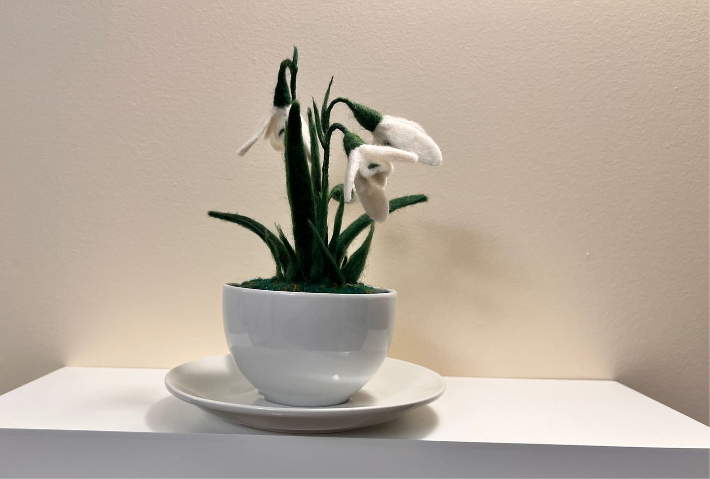 Snowdrops in a teacup
