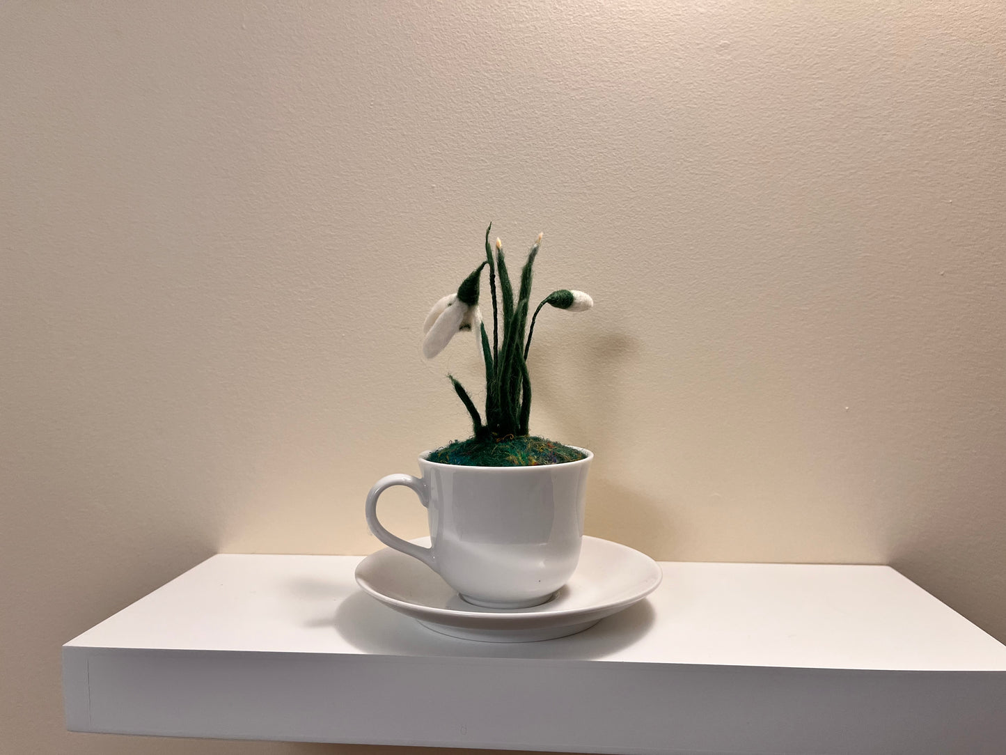 Snowdrops in a teacup