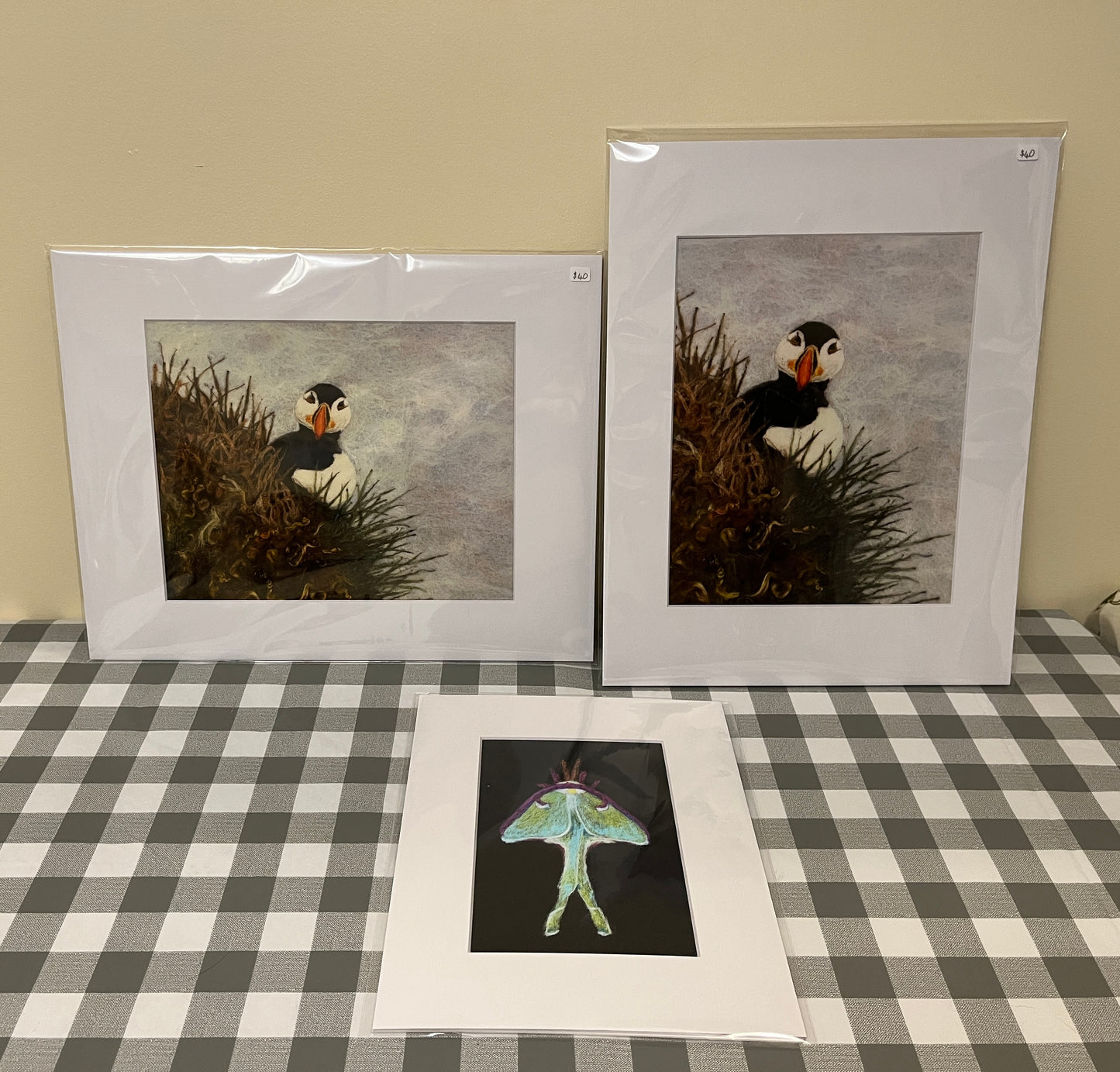 Prints 8”x10” Matt to 5”x7”