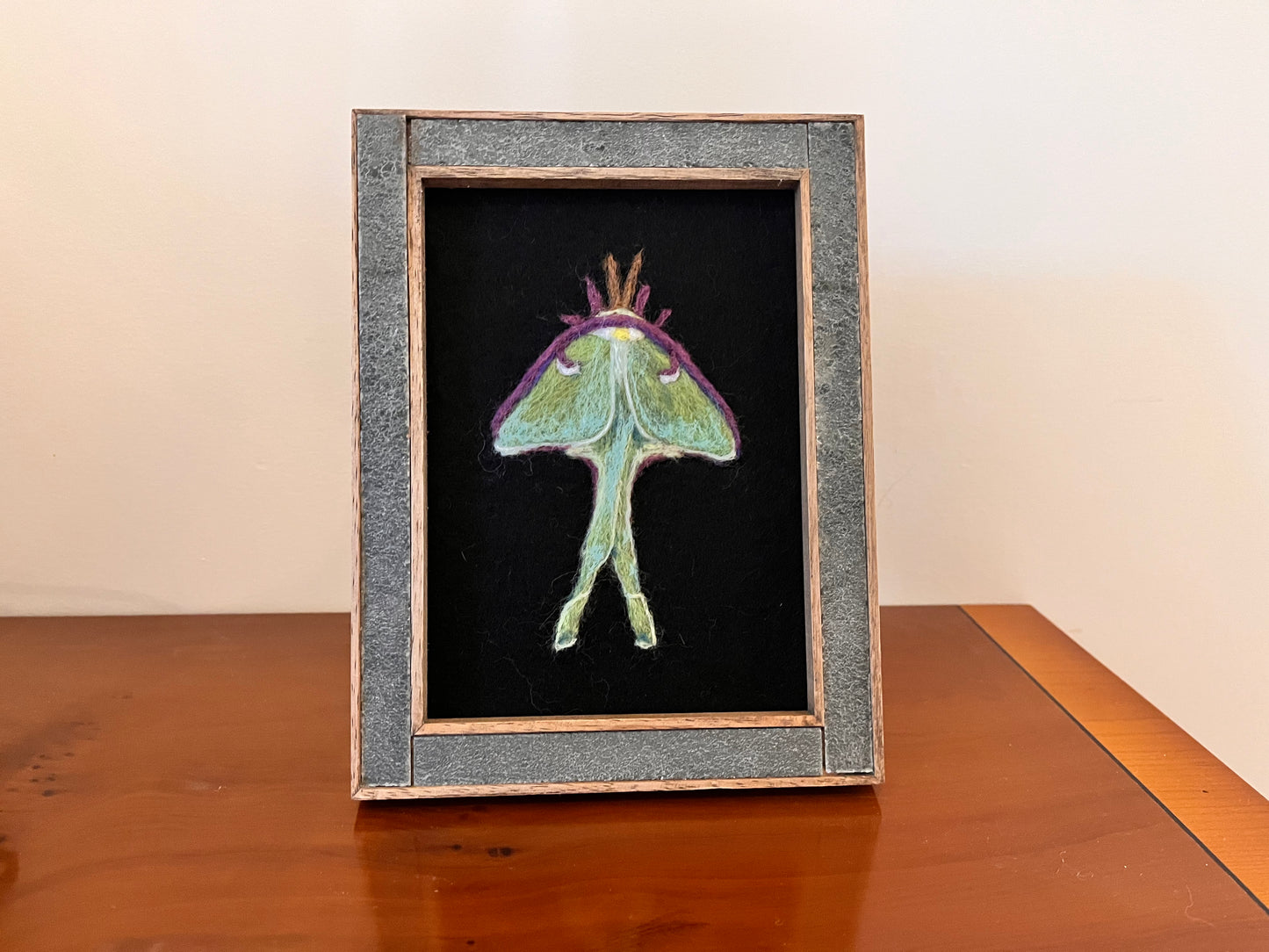 Felted Luna Moth Picture