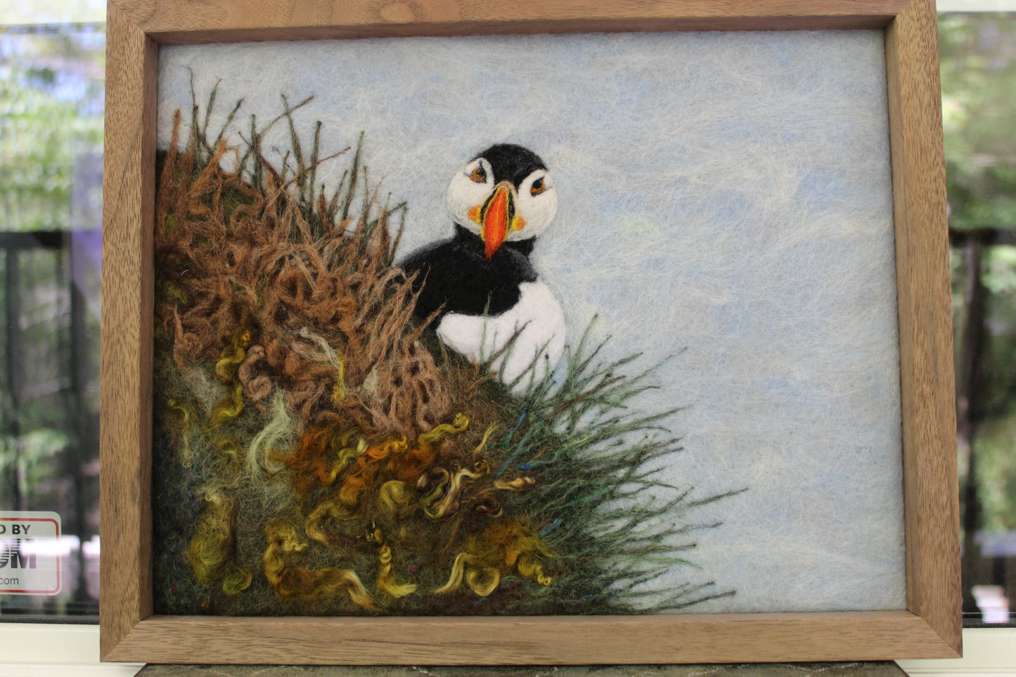 Puffin Picture