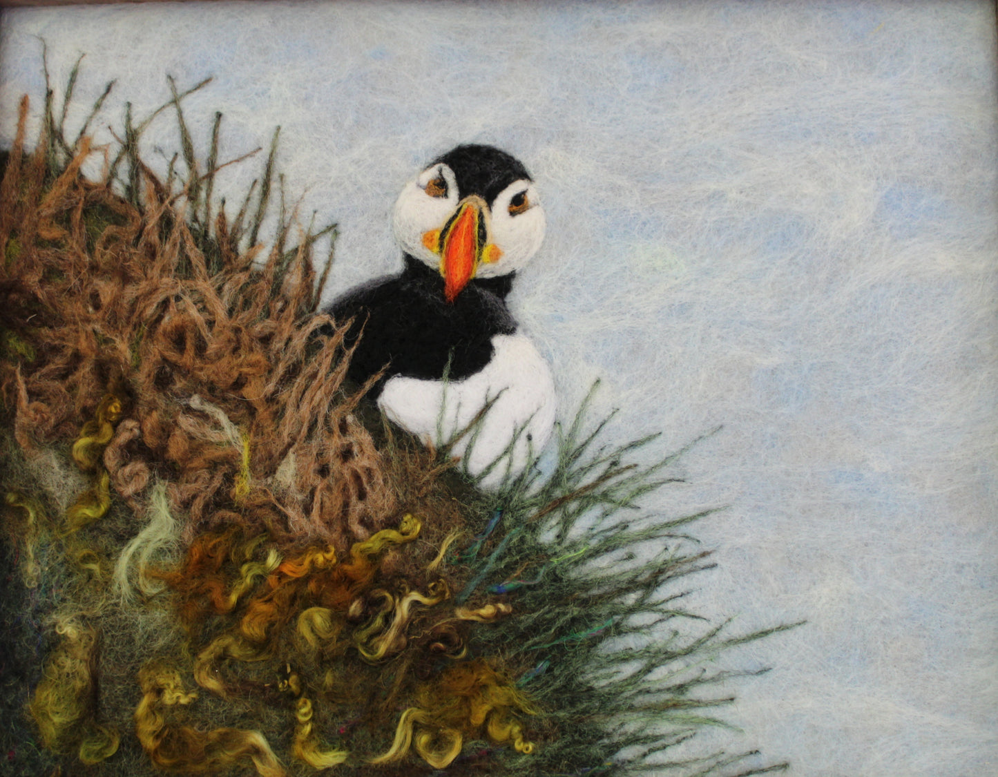 Puffin Picture