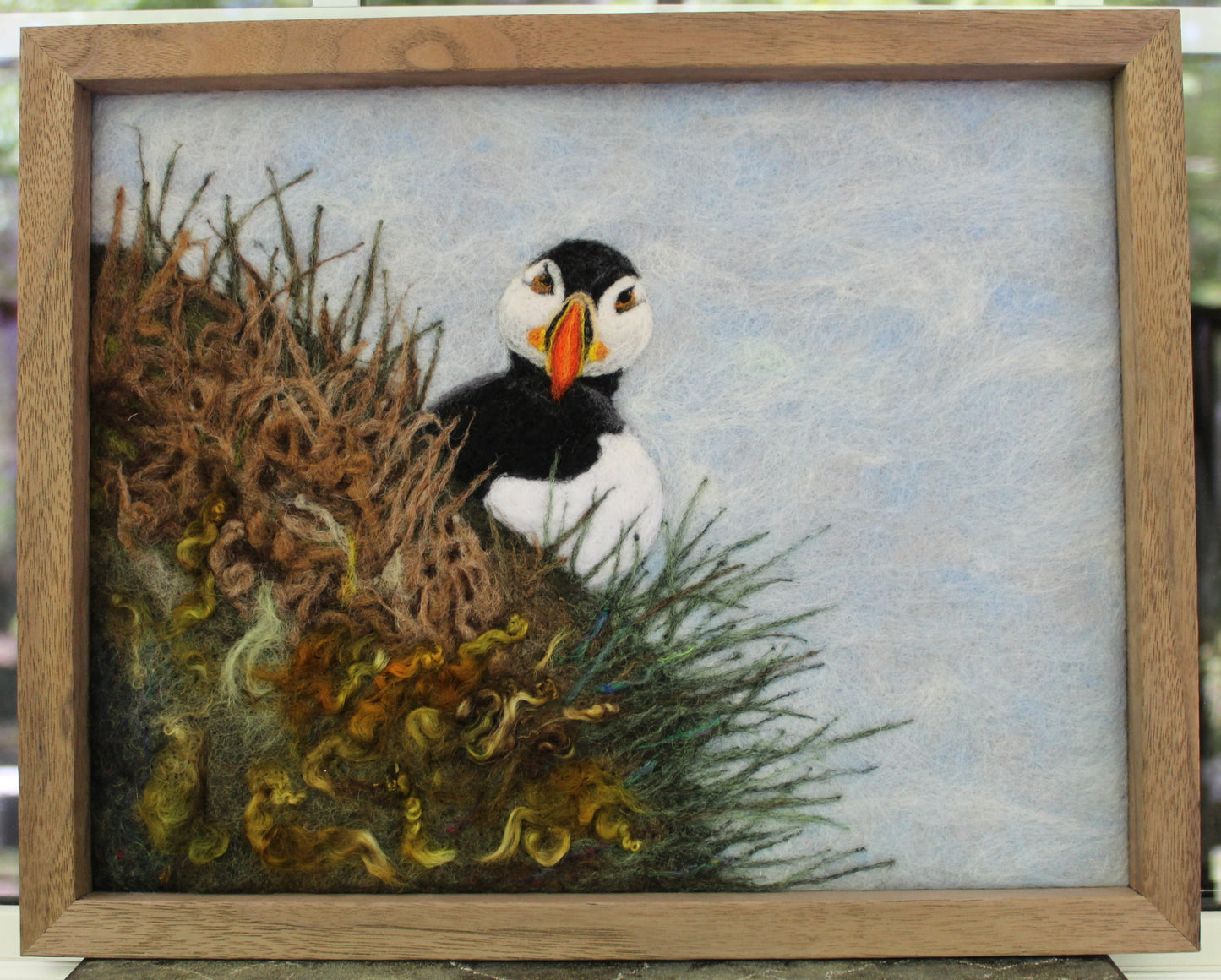 Puffin Picture