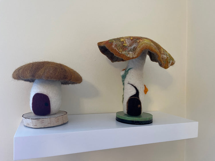 Mushroom Collection