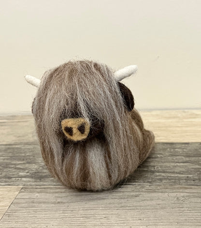 Highland Coo