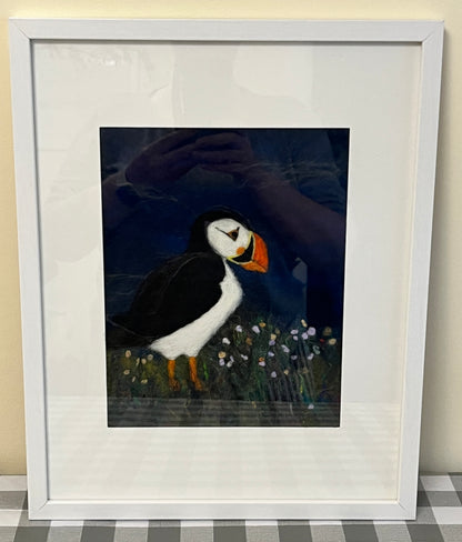 Puffin Picture