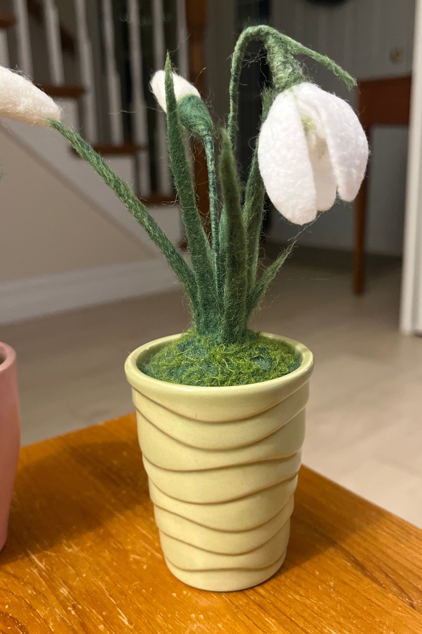 Snowdrops
