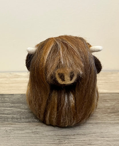 Highland Coo