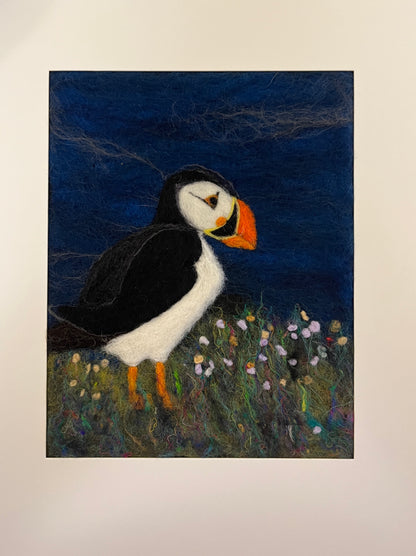 Puffin Picture