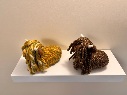 Highland Coo