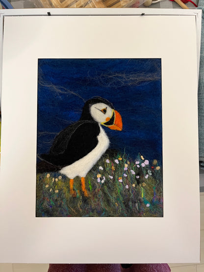 Puffin Picture