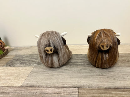 Highland Coo