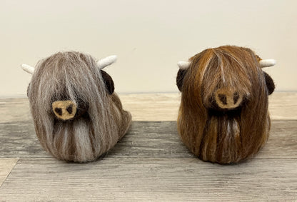 Highland Coo