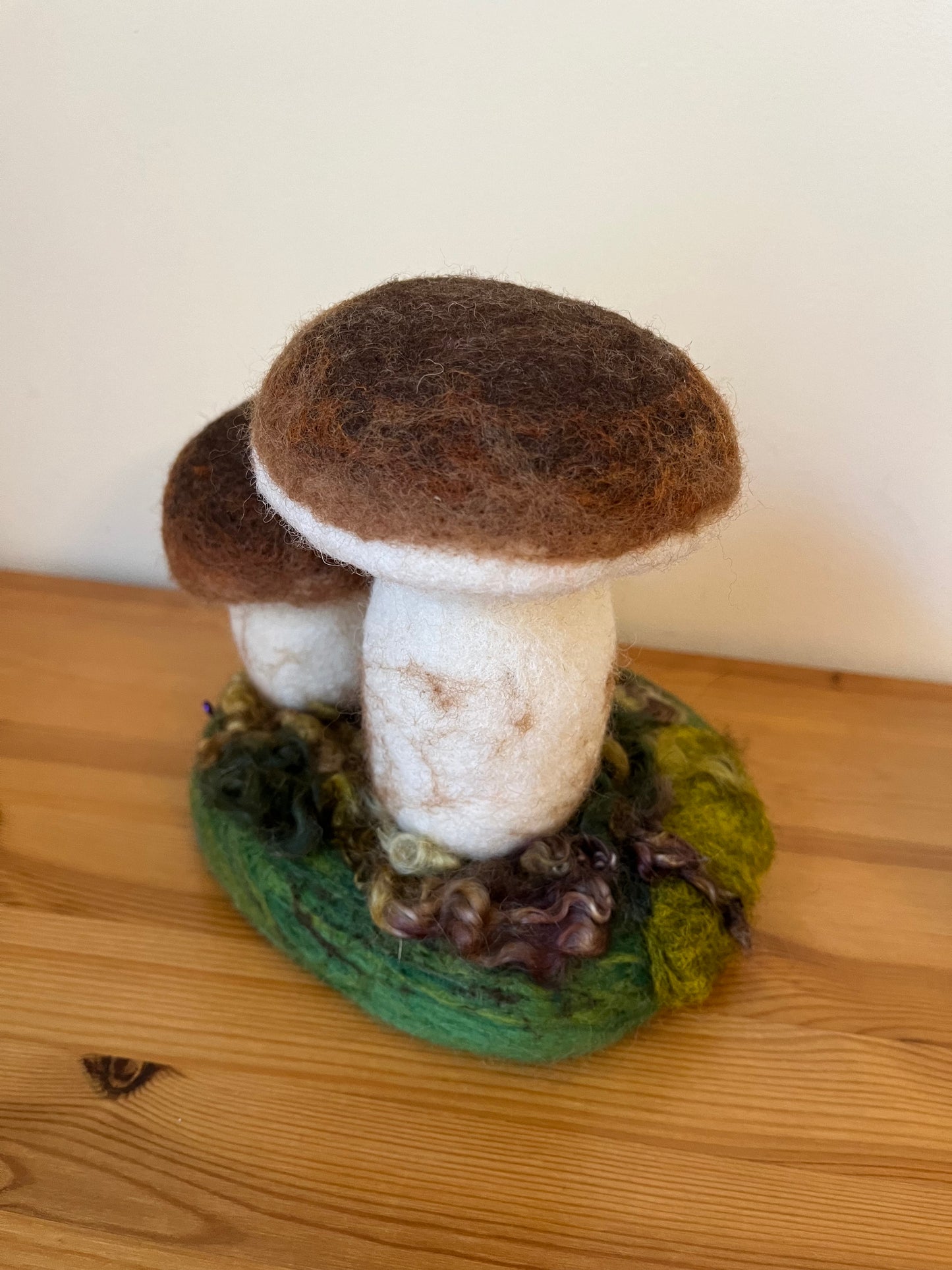 Felted forest mushrooms