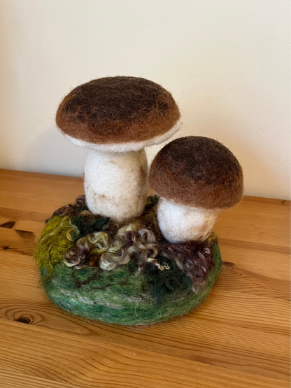 Felted forest mushrooms