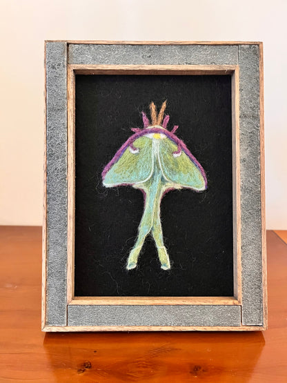 Felted Luna Moth Picture