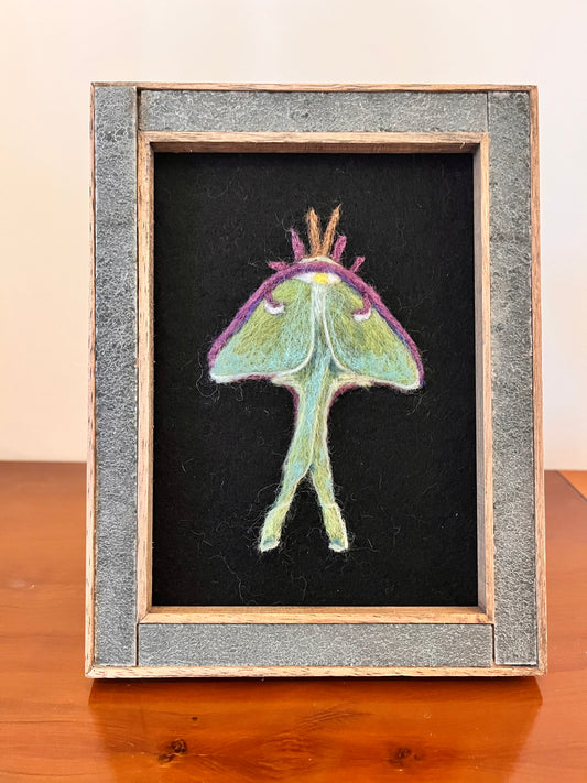 Felted Luna Moth Picture
