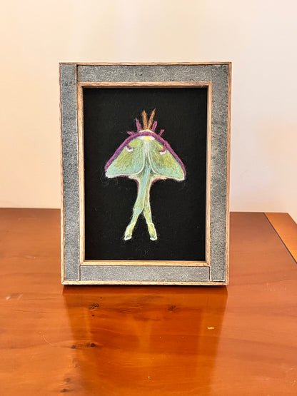 Felted Luna Moth Picture