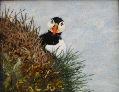 Puffin Picture