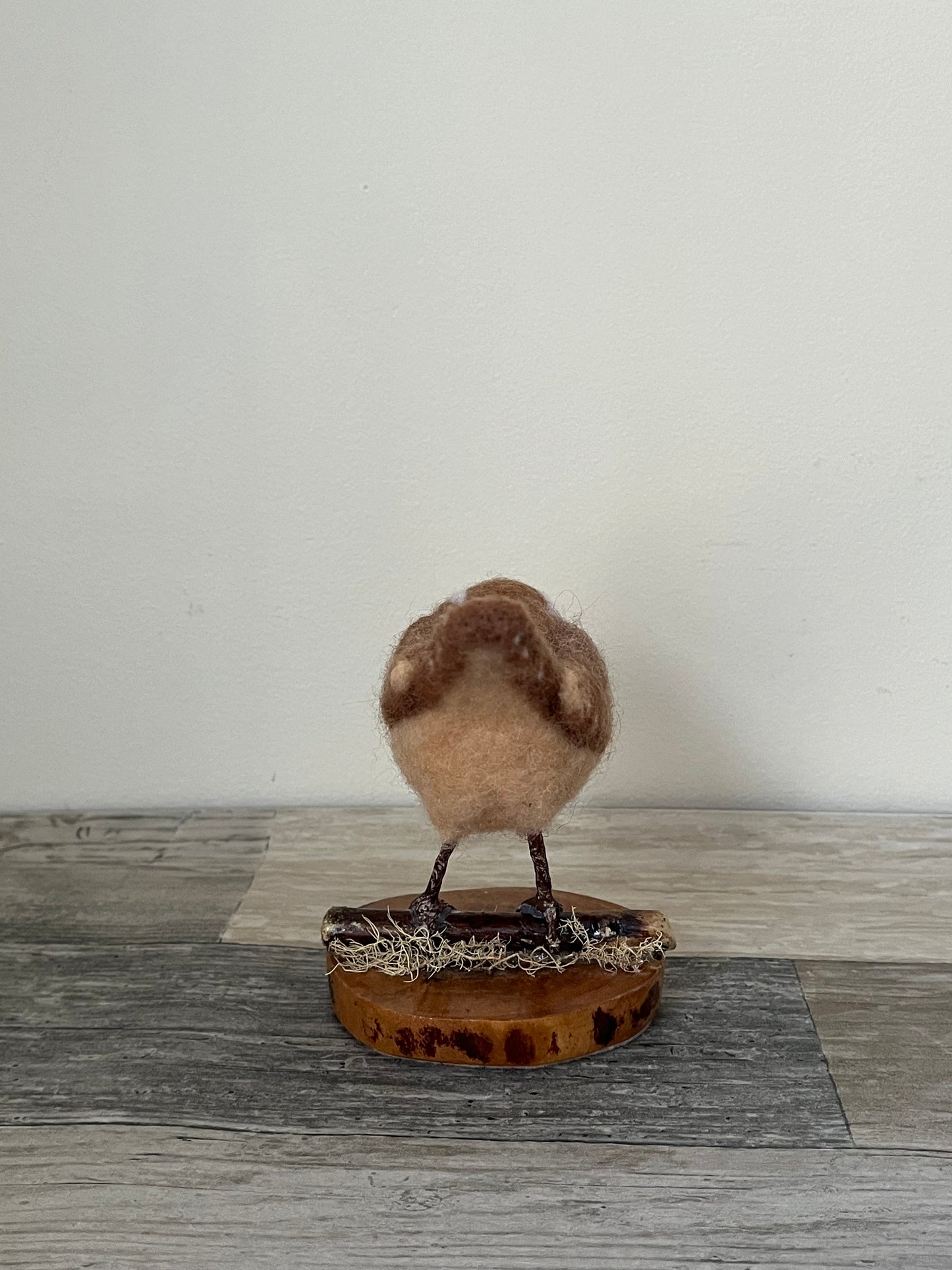 Felted Wren